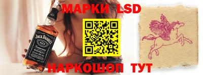 шишки Новодвинск