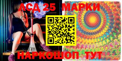 шишки Новодвинск