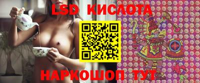 мяу мяу мука Новозыбков