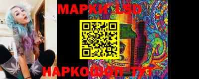 шишки Новодвинск