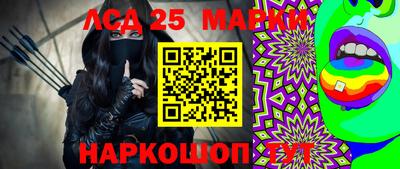 шишки Новодвинск