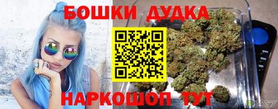 шишки Новодвинск