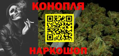 шишки Новодвинск