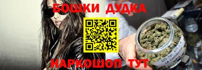 шишки Новодвинск