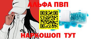 шишки Новодвинск