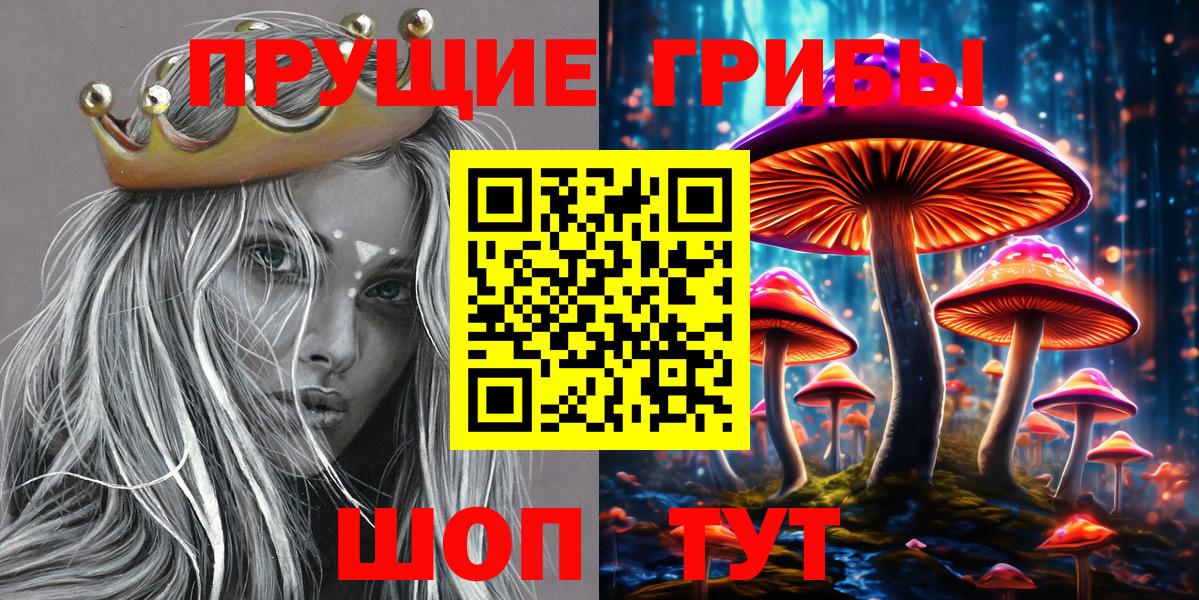 Галлюциногенные грибы мицелий  Вход с VPN  Северск 