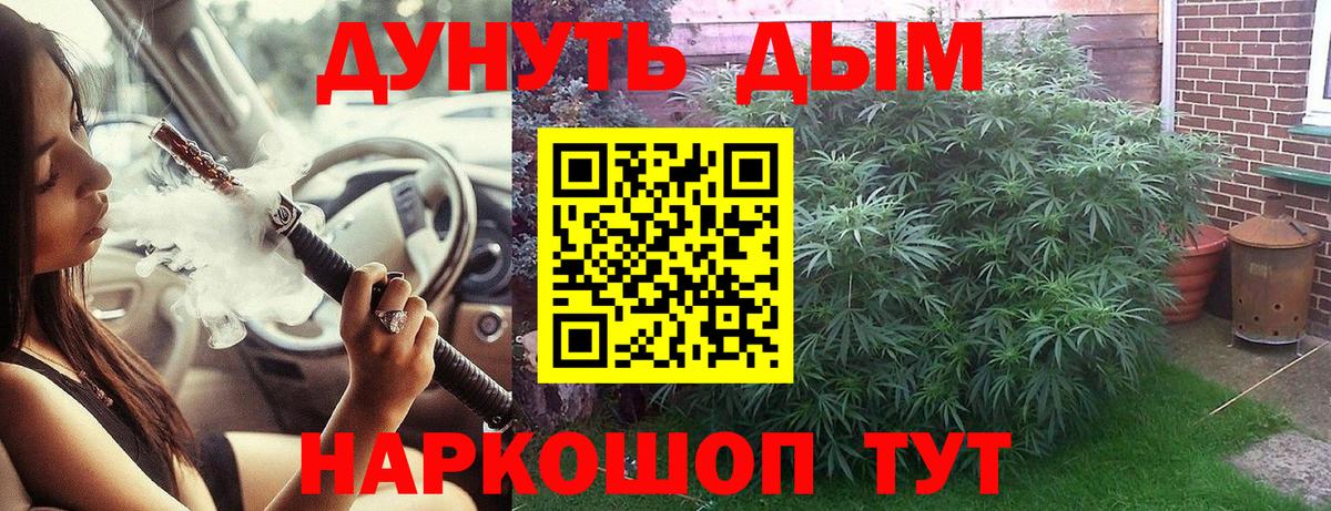 Шишки марихуана план  Канабис Amnesia  Бошки марихуана SATIVA & INDICA  Вход с VPN  Северск 